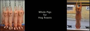 hog roast whole pigs